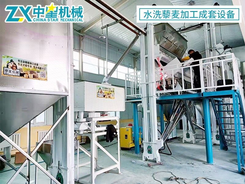 水洗藜麥加工成套設備