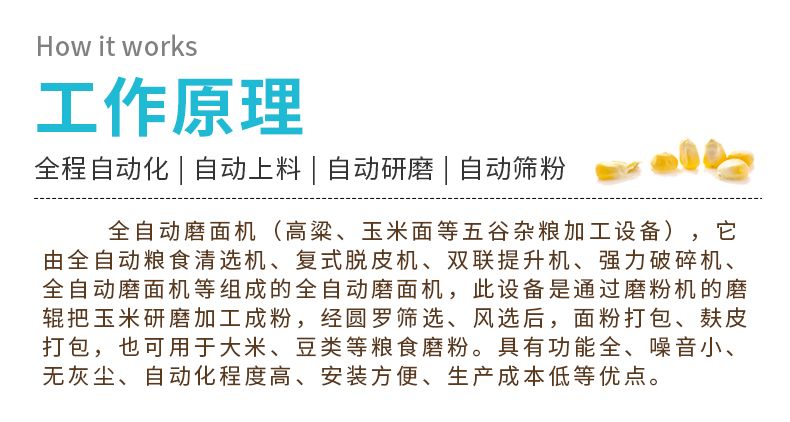 日產(chǎn)12噸全自動玉米磨粉成套設(shè)備