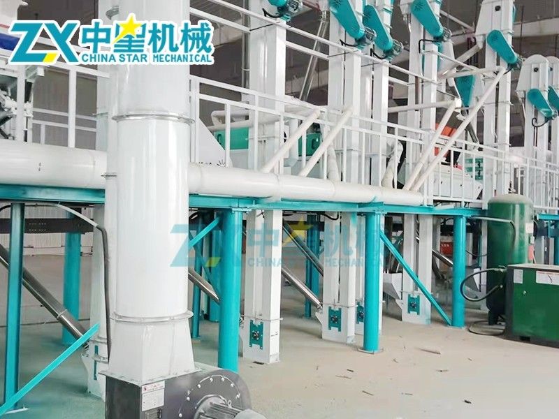 日產(chǎn)50噸藜麥加工成套設(shè)備