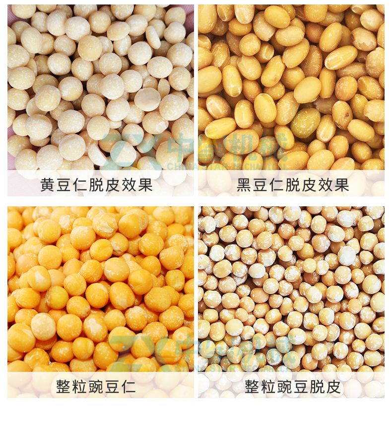 S18多功能大豆脫皮機(jī)_11.jpg