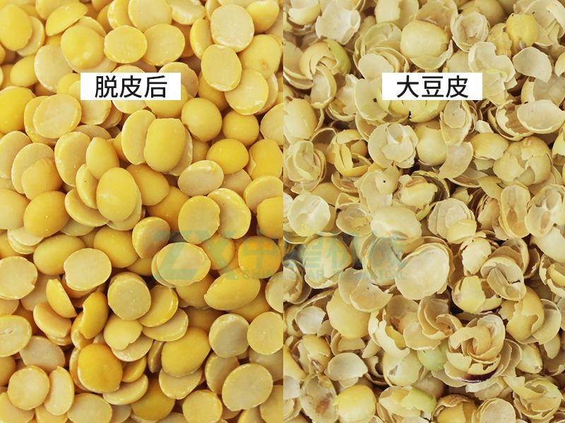 大豆圖_Jc.jpg