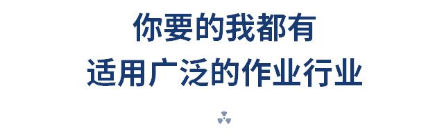 多功能黑豆脫皮脫殼機(jī)